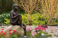 John's garden